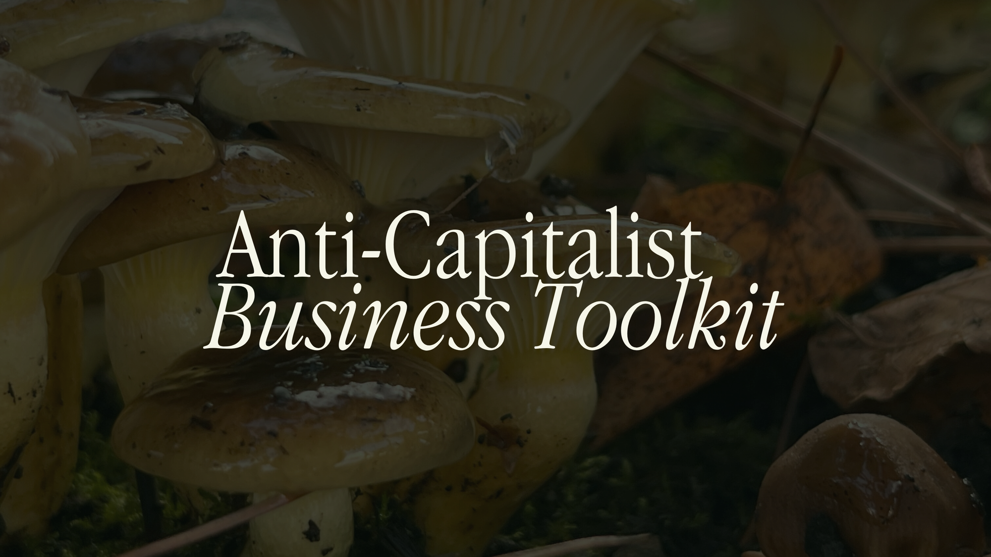 Background image is a close-up of a cluster of mushrooms nested amongst pine needles, fallen leaves, and dirt. Text reads: Anti-Capitalist Business Toolkit