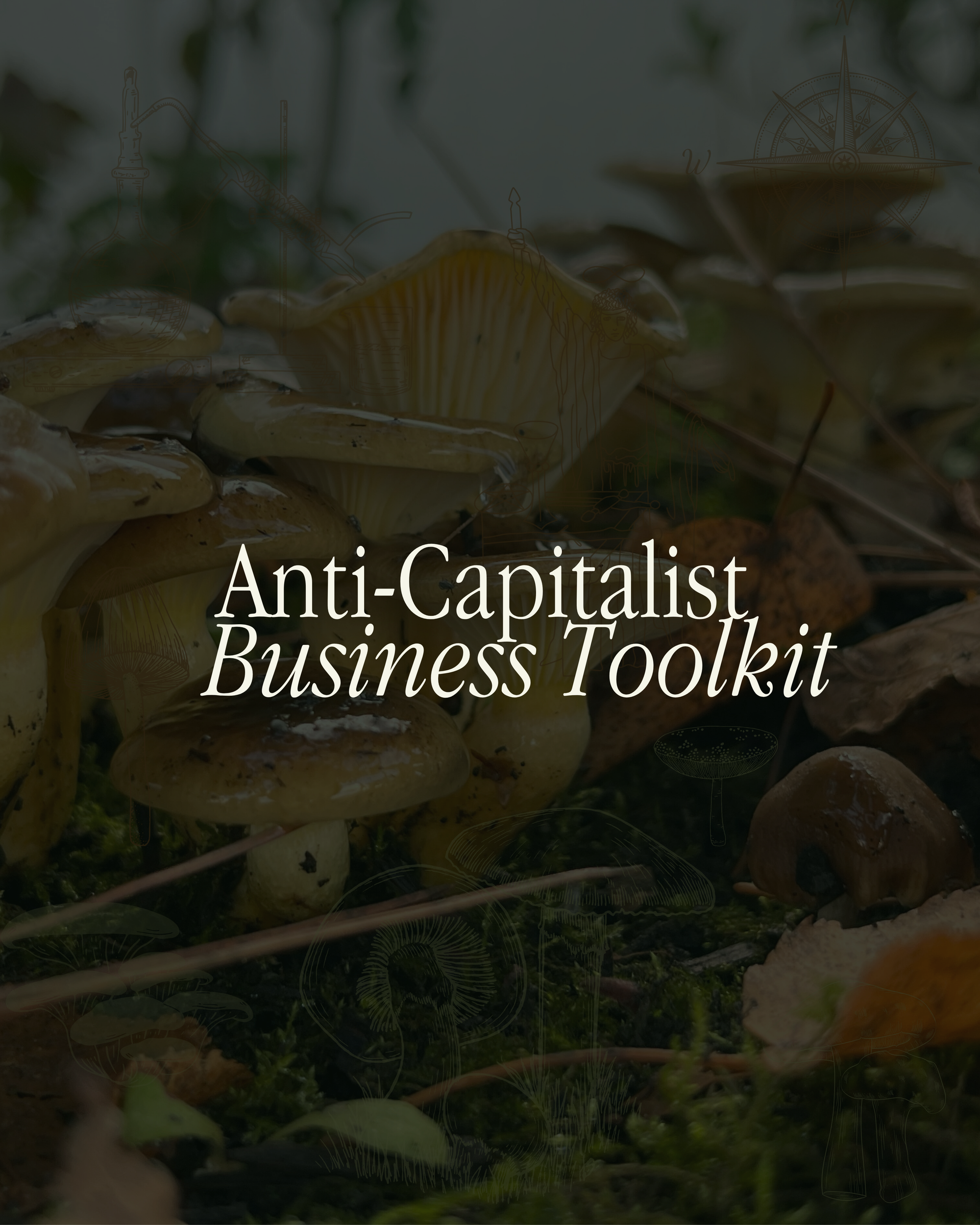 Anti-Capitalist Business Toolkit