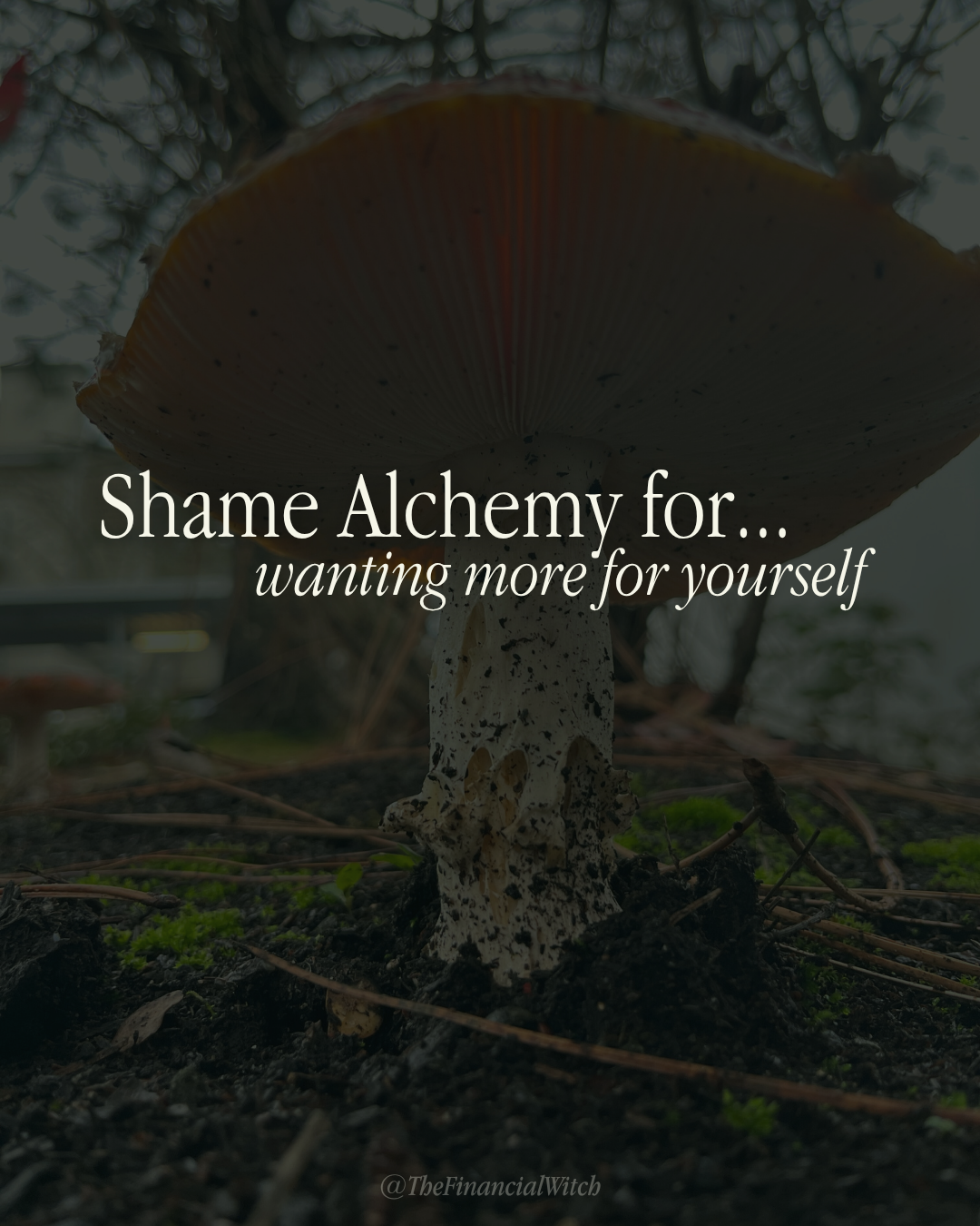Background image is a close-up of the underside of a mushroom, exposing all its gills. Text: "Shame Alchemy for... wanting more for yourself"