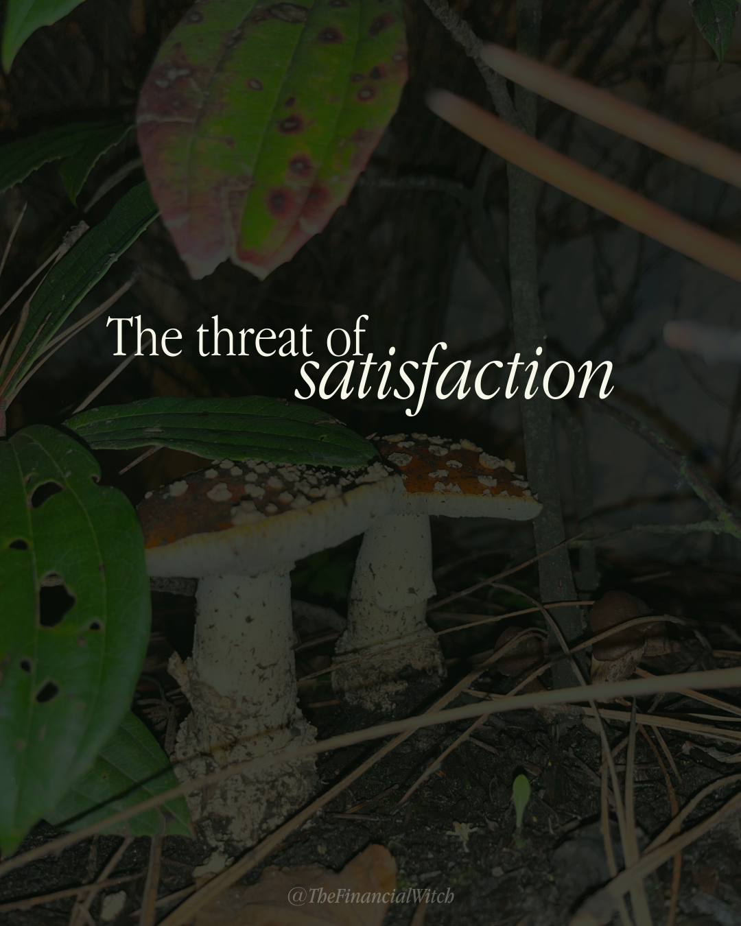 Background image of two amanita mushrooms under a bush, taken at night. Text: "The threat of satisfaction"