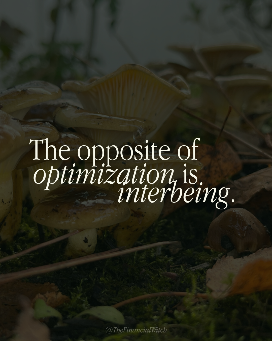 The opposite of optimization is interbeing
